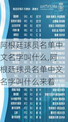 阿根廷球员名单中文名字叫什么,阿根廷球员名单中文名字叫什么来着