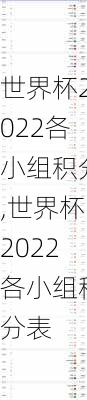 世界杯2022各小组积分,世界杯2022各小组积分表