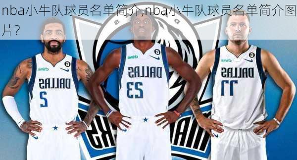 nba小牛队球员名单简介,nba小牛队球员名单简介图片?