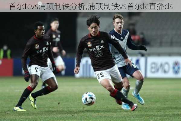 首尔fcvs浦项制铁分析,浦项制铁vs首尔fc直播ds