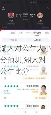 湖人对公牛大小分预测,湖人对公牛比分