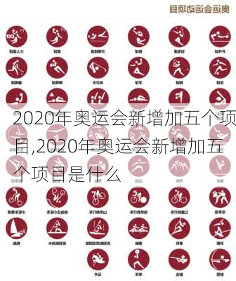 2020年奥运会新增加五个项目,2020年奥运会新增加五个项目是什么