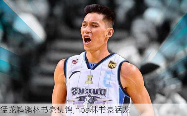 猛龙鹈鹕林书豪集锦,nba林书豪猛龙