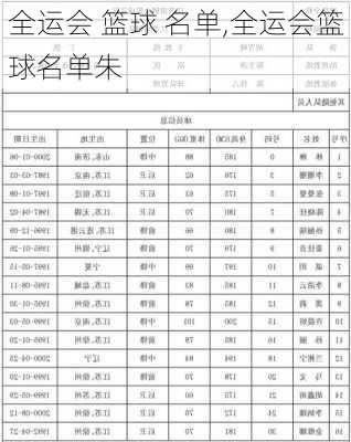 全运会 篮球 名单,全运会篮球名单朱