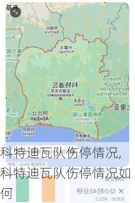 科特迪瓦队伤停情况,科特迪瓦队伤停情况如何