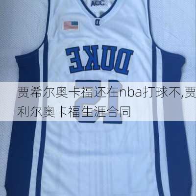 贾希尔奥卡福还在nba打球不,贾利尔奥卡福生涯合同