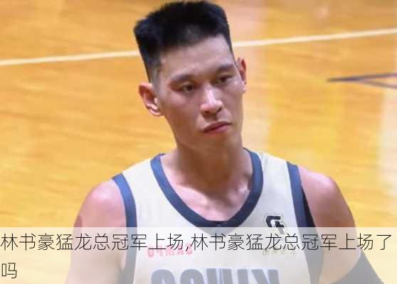 林书豪猛龙总冠军上场,林书豪猛龙总冠军上场了吗