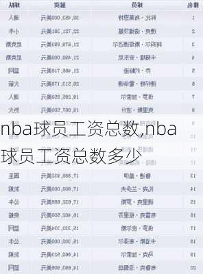 nba球员工资总数,nba球员工资总数多少