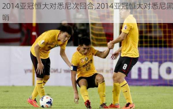 2014亚冠恒大对悉尼次回合,2014亚冠恒大对悉尼黑哨