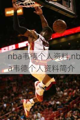 nba韦德个人资料,nba韦德个人资料简介