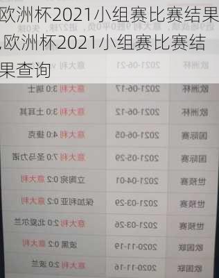 欧洲杯2021小组赛比赛结果,欧洲杯2021小组赛比赛结果查询