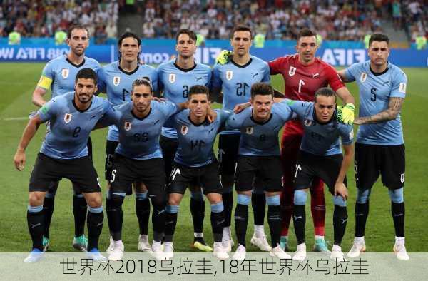 世界杯2018乌拉圭,18年世界杯乌拉圭