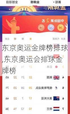 东京奥运金牌榜排球,东京奥运会排球金牌榜