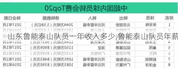 山东鲁能泰山队员一年收入多少,鲁能泰山队员年薪