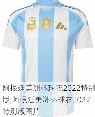 阿根廷美洲杯球衣2022特别版,阿根廷美洲杯球衣2022特别版图片