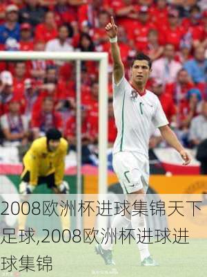 2008欧洲杯进球集锦天下足球,2008欧洲杯进球进球集锦