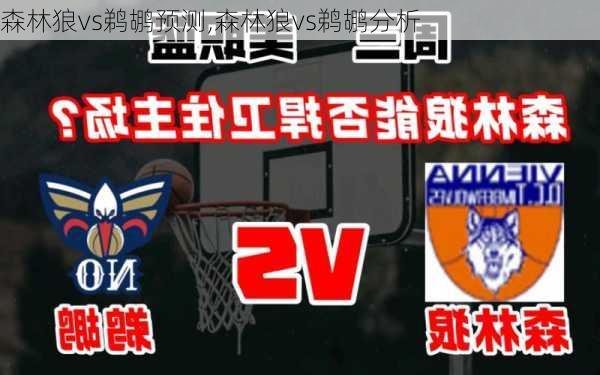 森林狼vs鹈鹕预测,森林狼vs鹈鹕分析