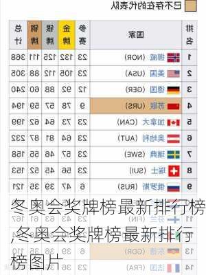 冬奥会奖牌榜最新排行榜,冬奥会奖牌榜最新排行榜图片