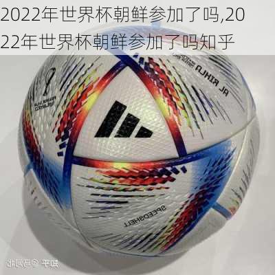 2022年世界杯朝鲜参加了吗,2022年世界杯朝鲜参加了吗知乎