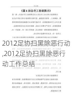 2012足协扫黑除恶行动,2012足协扫黑除恶行动工作总结