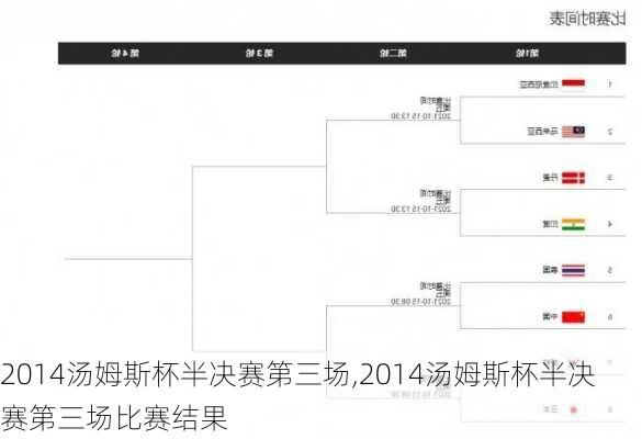 2014汤姆斯杯半决赛第三场,2014汤姆斯杯半决赛第三场比赛结果