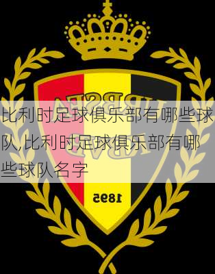 比利时足球俱乐部有哪些球队,比利时足球俱乐部有哪些球队名字