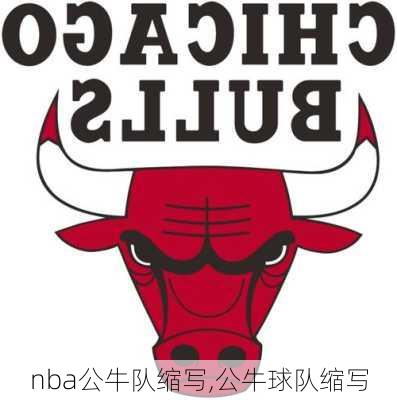 nba公牛队缩写,公牛球队缩写