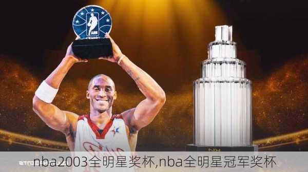 nba2003全明星奖杯,nba全明星冠军奖杯