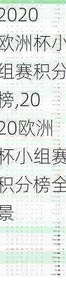 2020欧洲杯小组赛积分榜,2020欧洲杯小组赛积分榜全景