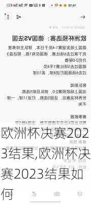 欧洲杯决赛2023结果,欧洲杯决赛2023结果如何