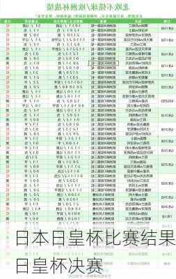 日本日皇杯比赛结果,日皇杯决赛