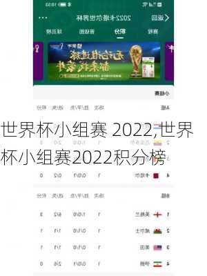 世界杯小组赛 2022,世界杯小组赛2022积分榜