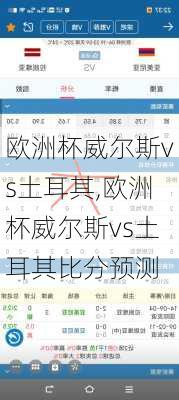 欧洲杯威尔斯vs土耳其,欧洲杯威尔斯vs土耳其比分预测