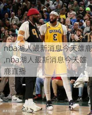 nba湖人最新消息今天雄鹿,nba湖人最新消息今天雄鹿直播