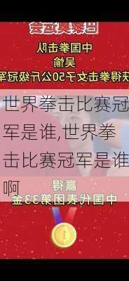 世界拳击比赛冠军是谁,世界拳击比赛冠军是谁啊