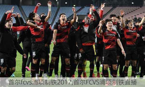 首尔fcvs浦项制铁2017,首尔FCVS浦项制铁直播