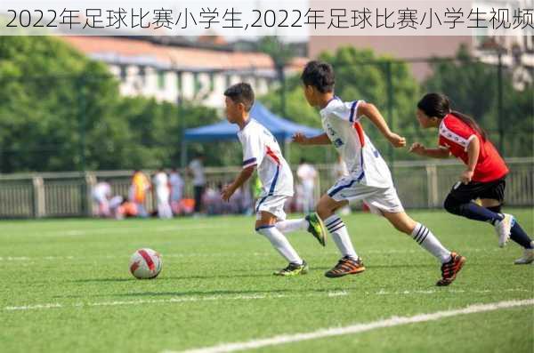 2022年足球比赛小学生,2022年足球比赛小学生视频